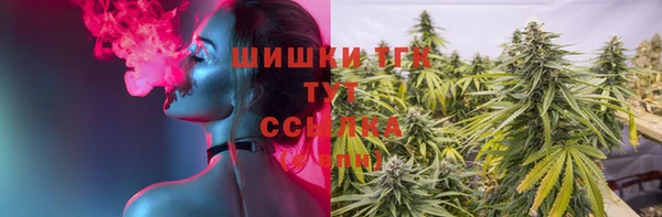 MESCALINE Горняк