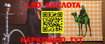 прущие крисы Кандалакша