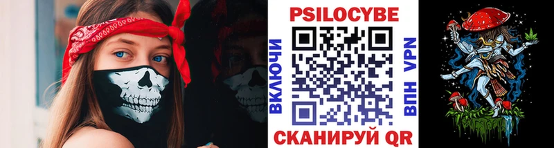 OMG как зайти  Нерюнгри  Галлюциногенные грибы MAGIC MUSHROOMS 