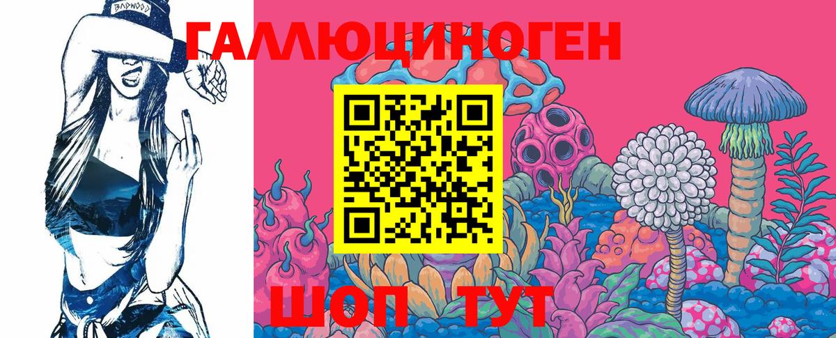 Галлюциногенные грибы GOLDEN TEACHER  Нерюнгри  Псилоцибиновые грибы Magic Shrooms 