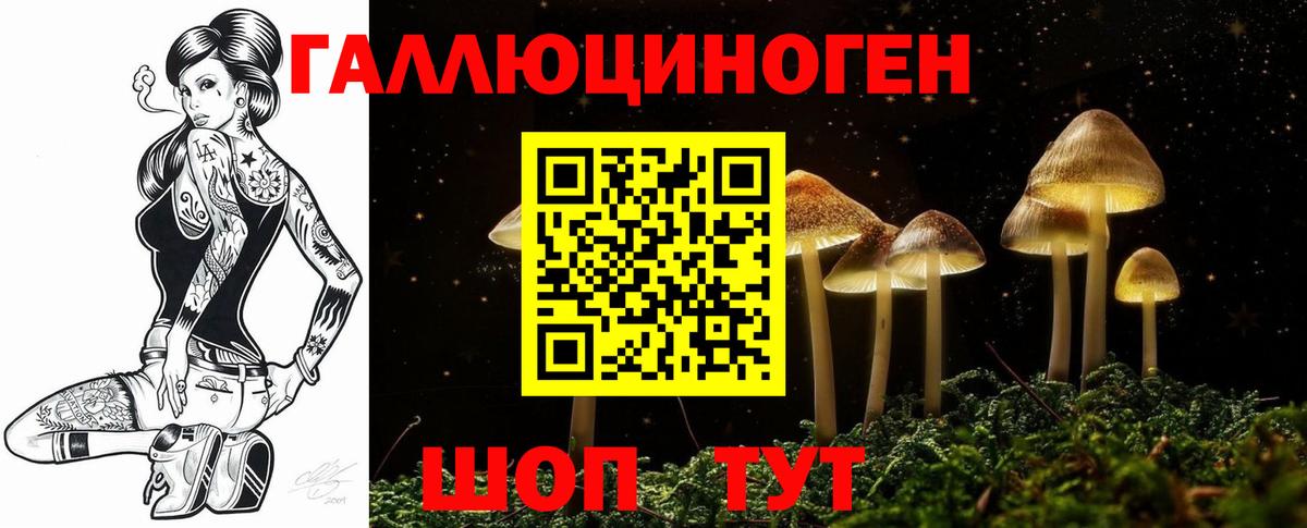 Нерюнгри  хочу   Вход с VPN  Псилоцибиновые грибы мухоморы 