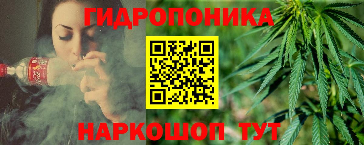 Конопля тримм  Бошки Шишки White Widow  Вход с VPN  Нерюнгри  Марихуана AK-47 